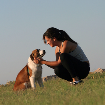 Dog Stuck With Woman Just B Cause Rainpow - Rainpow.Com